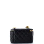 Chanel Sweet Camellia Vanity Case with Chain Quilted Lambskin Small