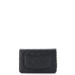 Chanel Wallet on Chain Quilted Caviar woc