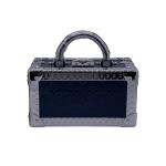 Louis Vuitton Titanium Alloy Large Box, Shoulder, Crossbody & Top Handle Case